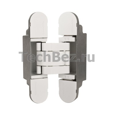 ARMADILLO ����� ������� ��������� � 3D-������������ Armadillo U3D5000.VPG WH, �����